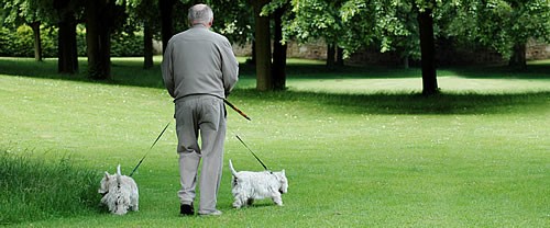 Soester Pflegedienste