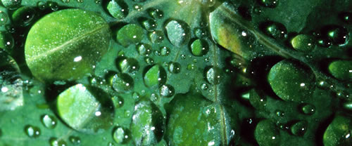 Soester Pflegedienste